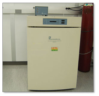 CO2 Water Jacketed Incubator Series II