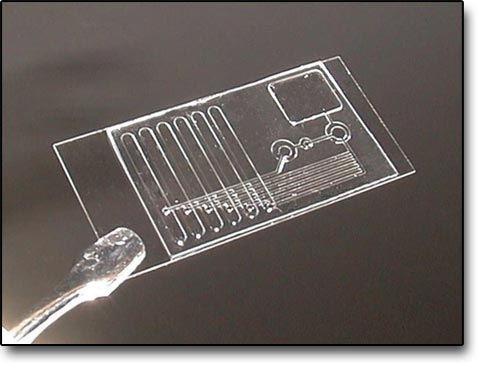 Microfluidic Chip Assay Device