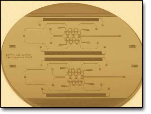 SU-8 Mold